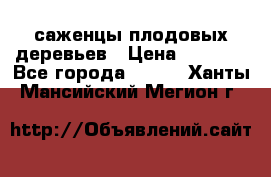 саженцы плодовых деревьев › Цена ­ 6 080 - Все города  »    . Ханты-Мансийский,Мегион г.